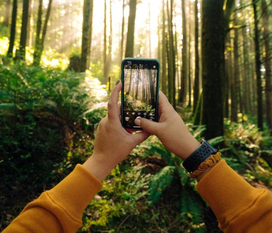 holding up a phone in a forest